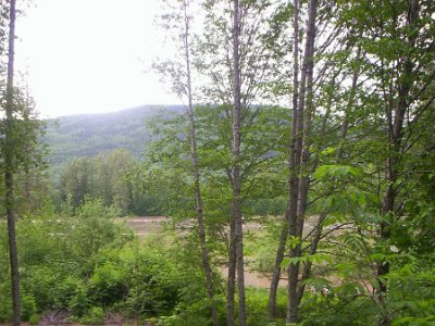 Terrace Flooding 2007